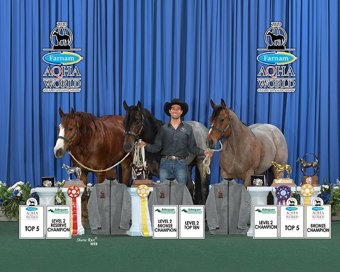 2020 AQHA World Championship